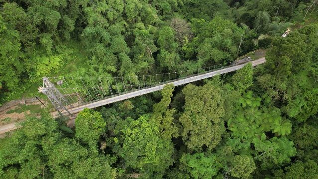 Aerial view of small metal suspension bridge for pedestrians and motorcycles spanning ravine. Camera flies over and looks down on structure from above, dense tropical thickets grow all around.