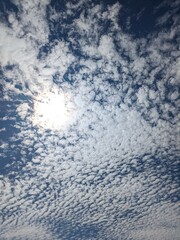 うろこ雲と太陽