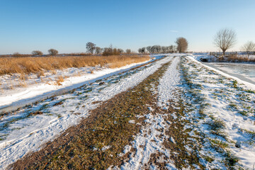 Dutch polder landscape in the winter season. In the foreground is a dirt road that is partially...