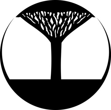 socotra island tree logo