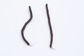 Dreadlocks haircut on white background, rasta hair