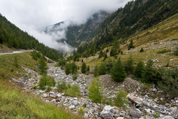 Fototapeta na wymiar Passo di Stelvio im Nebel