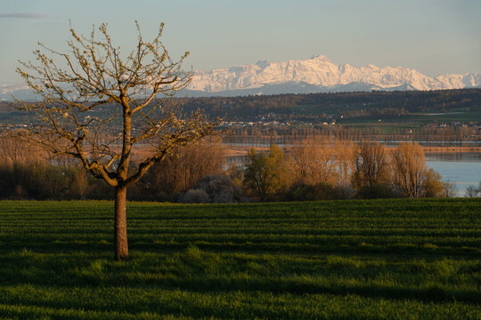 S&auml;ntis Abendstimmung bei Hegne