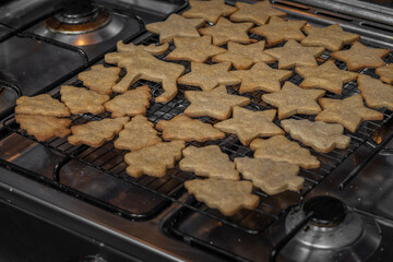 Christmas gingerbread cookies on oven rack - 696845789