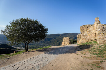 Fototapeta na wymiar temple in Mtskheta on a hill, on a sunny day