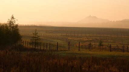 sad autumn landscape with trees