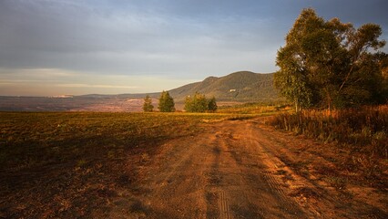 sad autumn landscape with trees