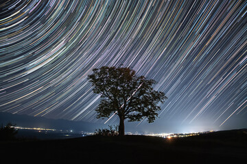 Lonely tree on a hill under the starry sky and star tracks