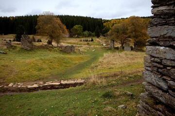 sad autumn landscape with trees