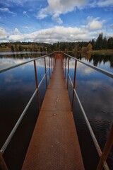 autumn on the shore of the pond
