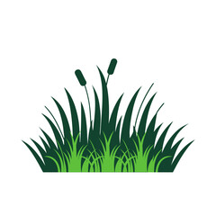 grass vector flat design