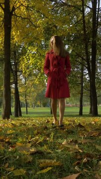 Young Caucasian Woman is Walking in Autumn Park with Yellow Maple Trees. Slow Motion. Steadicam Low Angle Shot. Vertical Video
