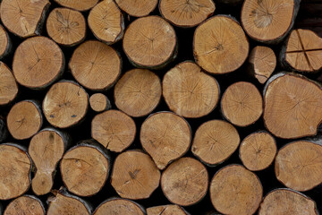 Background with ends of stacked firewood - 696851156