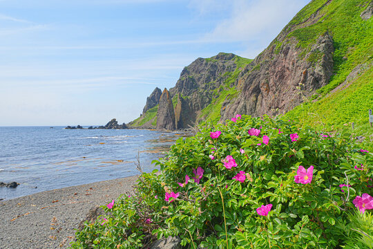メノウ浜