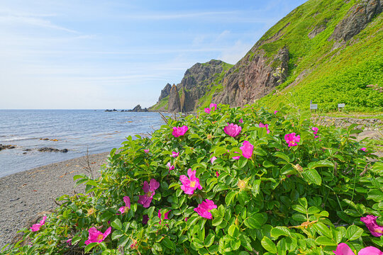 メノウ浜