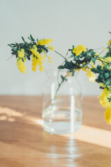ミモザの花
