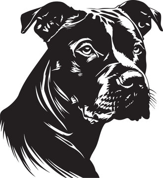 black and white illustration of a pitbull dog