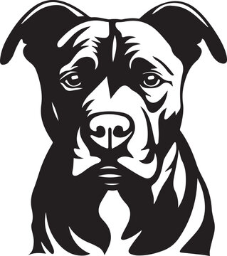 portrait of a pitbull dog