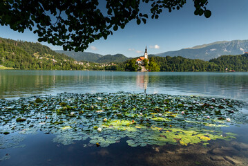 Landscape of Slovenia. A view of Lake Bled. In the foreground: water lilies. In the background, we can see The Church of the Mother of God, also called the Pilgrimage Church of the Assumption of Mary - obrazy, fototapety, plakaty