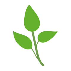 Leaf plant element for beautiful design. Simple form. Vector drawing.