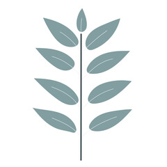 Leaf plant element for beautiful design. Simple form. Vector drawing.