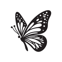 Tropical Rhapsody: Butterfly Silhouette Adorns Exotic Foliage, Nature's Melody in Vivid Silhouettes
