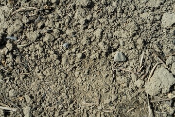 dry road with dirt sand and small stones pebbles