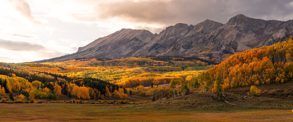 Panoramic Vista Colorado Colorful Autumn Scenery. Beautiful Mountains, Trees, and Fields of Fall Foliage.