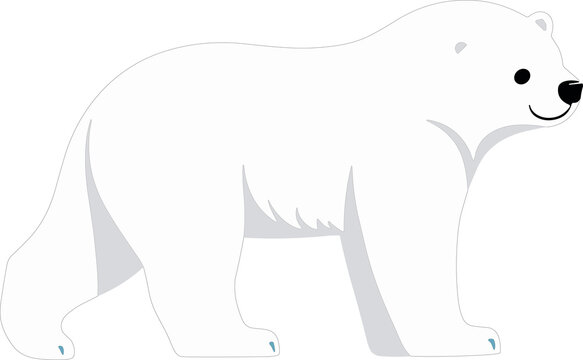 polar bear illustration