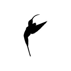 Flying Hummingbird Silhouette, can use Art Illustration, Website, Logo Gram, Pictogram or Graphic Design Element. Vector Illustration
