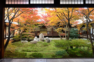 紅葉した京都市東山区 建仁寺の潮音庭