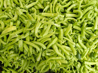 pepper, chili, chili pepper, plant, yellow, capsicum, vegetable, peppers, chilli, hot, yellow chili pepper, green chili pepper plant, green, africa, algeria, agriculture, closeup, organic, harvest.