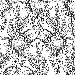 Black and white seamless pattern with line art protea flowers. Monochrome tropical floral background.
