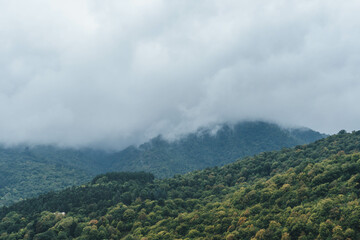 view over beautiful autumn forest on rainy day with low clouds in nature armenia dilijan park