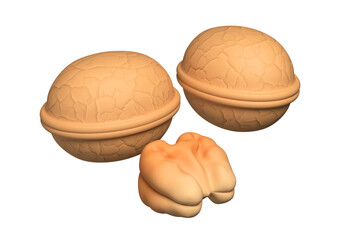 Walnut isolated on white background. 3d rendering