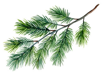 Yuletide. Artistic Rendering of Evergreen Bough for Christmas and New Year Celebrations