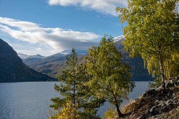 Fototapeta na wymiar Autumn at Reinheimen National park Norway