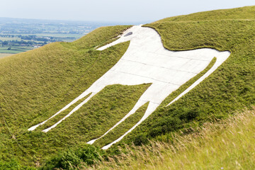 White Horse on hill in Wiltshire, England, which was carved into chalk grassland in the late 1600s, Legend suggest it was created to commemorate King Alfred's victory at the Battle of Eoandun in 878.