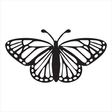 Black butterfly design hand drawn. Colorless black contour line sketch icon logotype. Design for mug, t-shirt, phone case.	