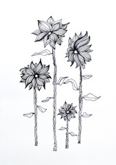Handmade ink drawing black and white four flowers