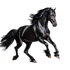 Obraz na płótnie Canvas A black horse is running gracefully on a transparent background PNG.