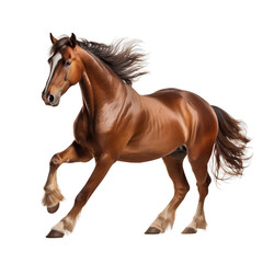 Obraz na płótnie Canvas Brown horse running gracefully on transparent background PNG