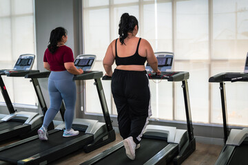 Rear view of two overweight Asian women in sports clothes. Wing exercises on the treadmill in the...