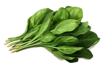 spinach on transparent background