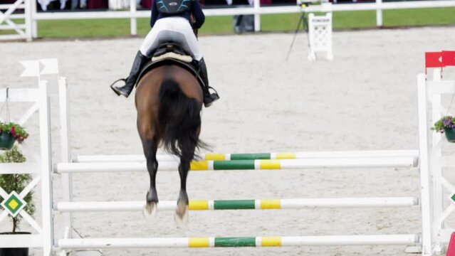 Following Slow Motion Wide Shot of Equestrian with Horse Leaping Over the Obstacle and Knocking Off the Top Bar