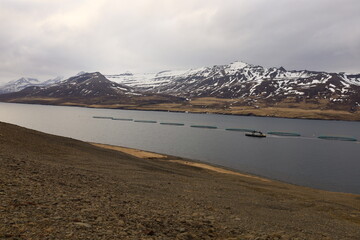 Reyĭarfjörĭur is an Icelandic fjord in the municipality of Fjarĭabyggĭ in the east of the island, in the Austurland region