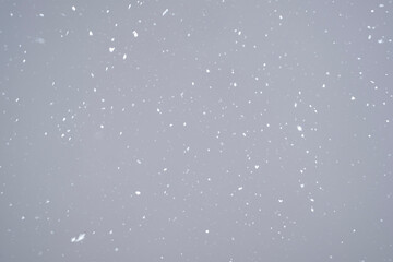 Falling Snow on a Black Background. The texture of real snow falling from the sky during a snowfall.