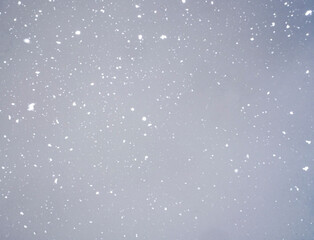 Falling Snow on a Black Background. The texture of real snow falling from the sky during a snowfall.