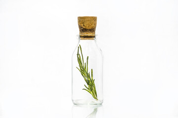 A branch of rosemary in a glass bottle on a white background.
