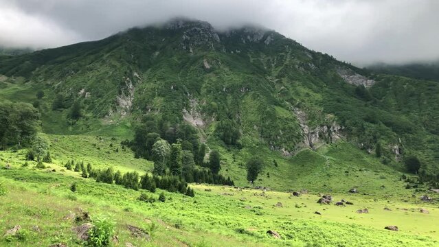 Gorgit Plateau in Camili Macahel region, surrounded by rolling hills and lush meadows, it's a haven for those seeking tranquility. Black sea region, Artvin, Turkiye